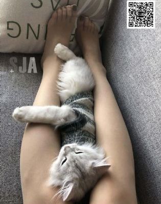 暴食的巴萨卡