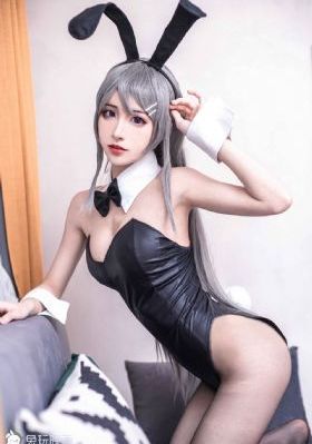 《黑狐》电视剧