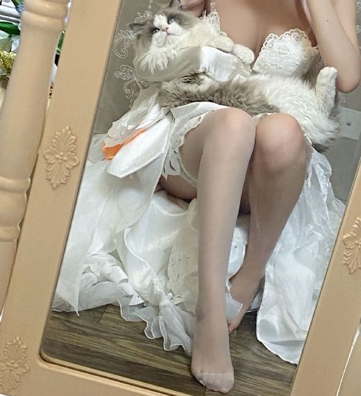 《孤岛飞鹰》