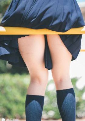 行尸走肉第13季完整版