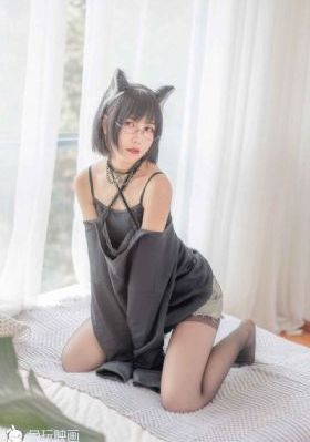 锅哥警察电视剧免费观看