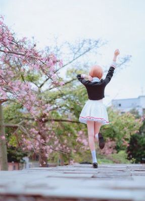 1—46集电视剧免费观看大全