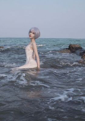 乘风破浪2023